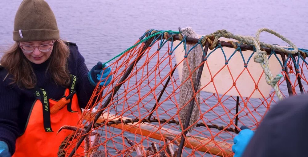 Hauling the king crab pot aboard